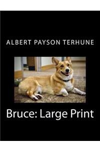Bruce