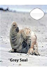 Grey Seal on Cover wideruledlinepaper Composition Book