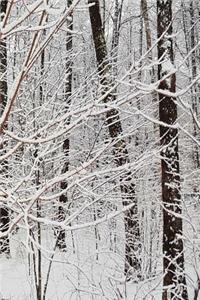 2019 Weekly Planner Winter Season Woods 134 Pages