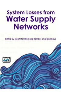 System Losses from Water Supply Networks