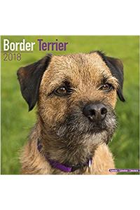 Border Terrier Calendar 2018