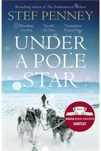 Under a Pole Star