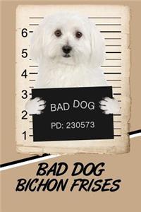 Bad Dog Bichon Frises