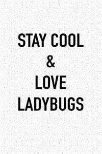 Stay Cool and Love Ladybugs