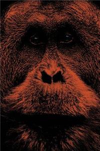 Orangutan Journal