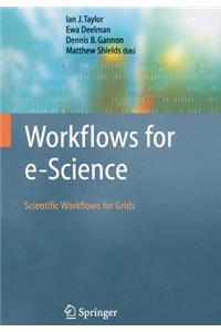 Workflows for E-Science