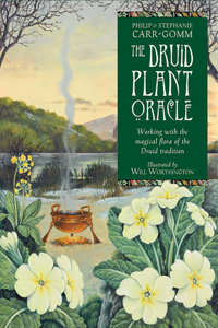 Druid Plant Oracle