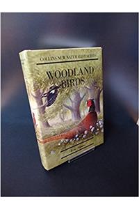 Woodland Birds
