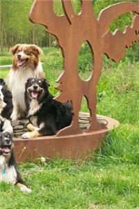 Australian Shepherds Notebook