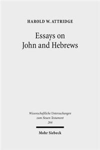 Essays on John and Hebrews
