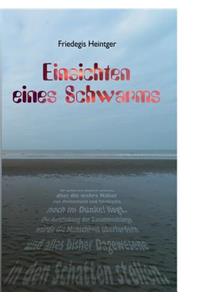 Einsichten eines Schwarms