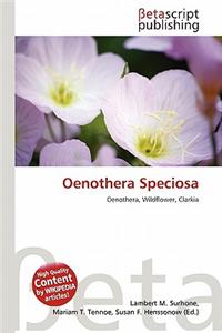 Oenothera Speciosa