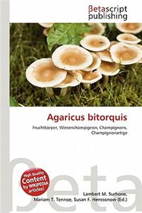 Agaricus Bitorquis