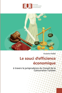 souci d'efficience économique
