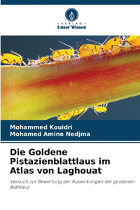 Die Goldene Pistazienblattlaus im Atlas von Laghouat