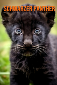 Schwarzer Panther