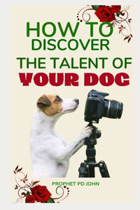 How to Discover the Talent of Your Dog