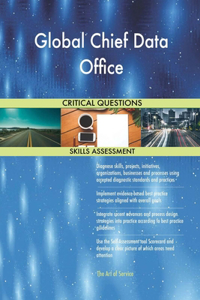 Global Chief Data Office Critical Questions Skills Assessment