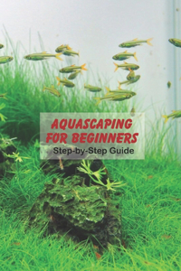 Aquascaping for Beginners