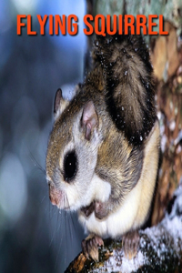 Flying Squirrel