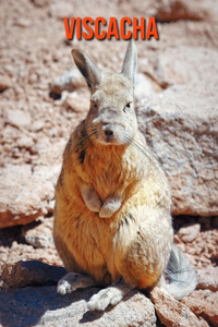 Viscacha: Beautiful Pictures & Interesting Facts Children Book About Viscacha