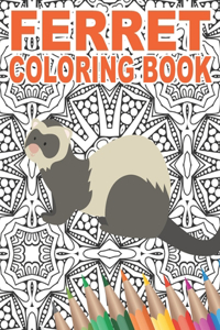 Ferret Coloring Book