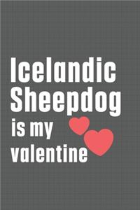 Icelandic Sheepdog is my valentine