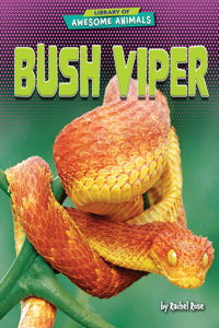 Bush Viper