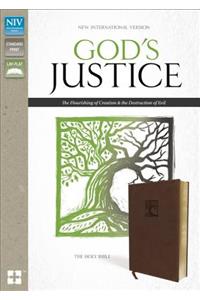 God's Justice-NIV