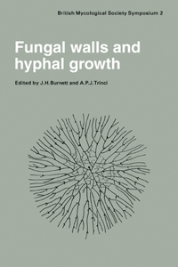 Fungal Walls and Hyphal Growth