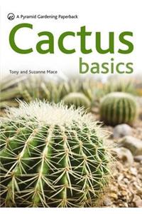 Cactus Basics