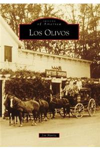 Los Olivos