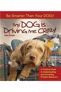 My Dog Is Driving Me Crazy!