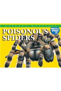 Poisonous Spiders