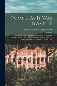 Pompei As It Was & As It Is