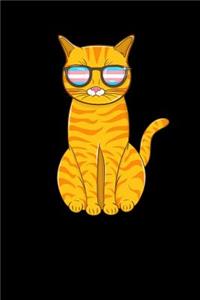 Trans Pride Cat
