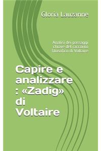 Capire e analizzare
