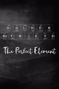 Golden Retriever the Perfect Element