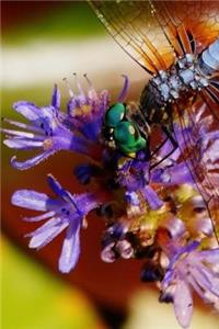 Teal Eyes Dragonfly Pretty Blank Lined Journal for daily thoughts notebook Lovely Lake Arrowhead Photograph