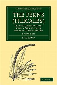 The Ferns (Filicales) 3 Volume Paperback Set: Volume Set: Treated Comparatively with a View to Their Natural Classification