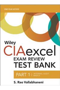 Wiley Ciaexcel Exam Review 2018 Test Bank