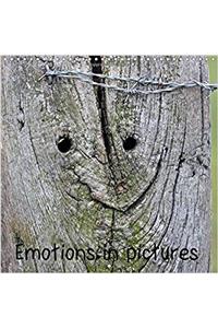 Emotions in Pictures 2017