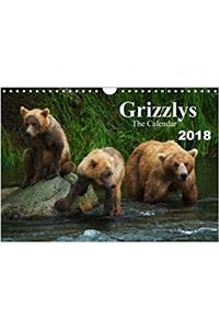 Grizzlys - the Calendar UK-Version 2018