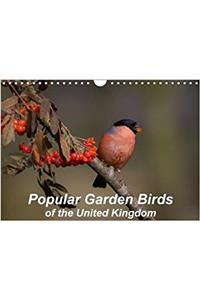 Popular Garden Birds of the United Kingdom 2018