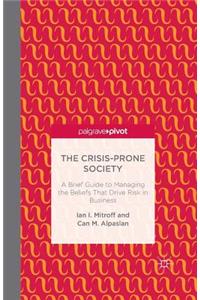 Crisis-Prone Society: A Brief Guide to Managing the Beliefs That Drive Risk in Business