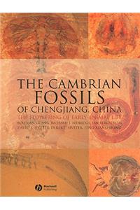 The Cambrian Fossils of Chengjiang, China