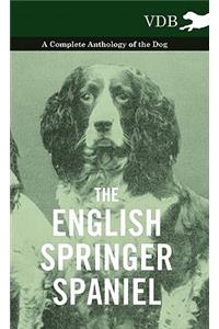 The English Springer Spaniel - A Complete Anthology of the Dog