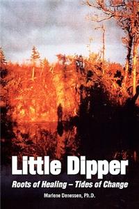 Little Dipper