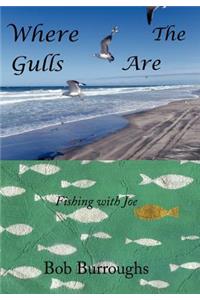 Where the Gulls Are