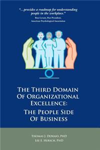 Third Domain of Organizational Excellence